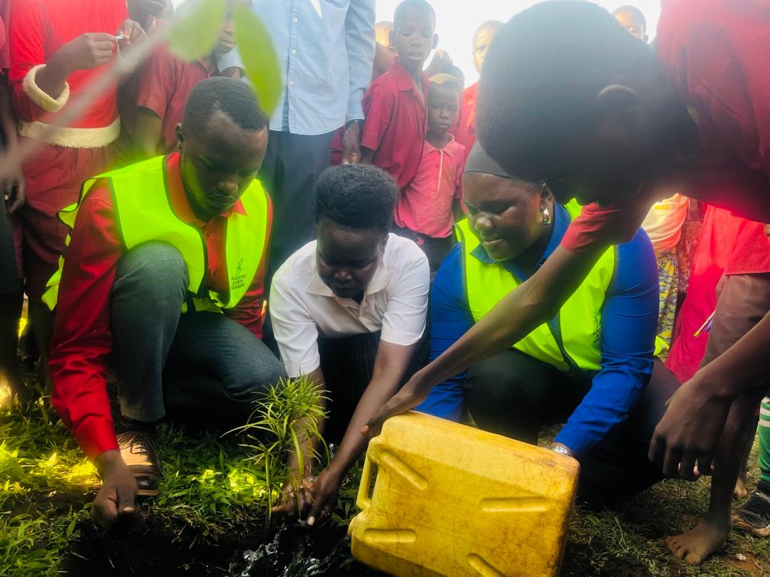 Tree Planting & Climate Action